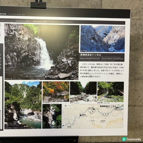 日本之旅，食住買，樣樣都正！😋🇯🇵