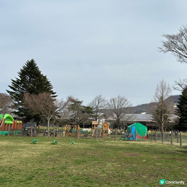 日本咖啡之旅 ☕️ 如果你都鍾意我嘅分享如果都鍾意我嘅分享請...