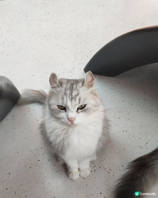 💯💕深圳K11 Ecoast 💫✨✨