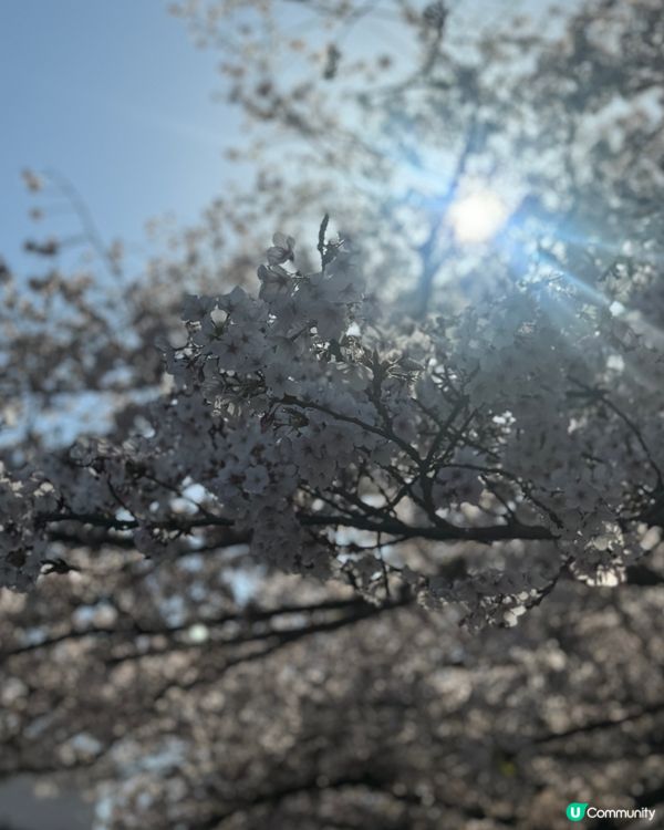 #chill嘆酒店旅人祭