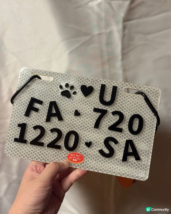 毛孩樂園放電趣！🐾🚗💨