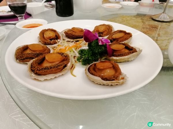 燒鵝，鮑魚都是香港的美食，真係好好味，點食都唔㑹厭，唔該再來...