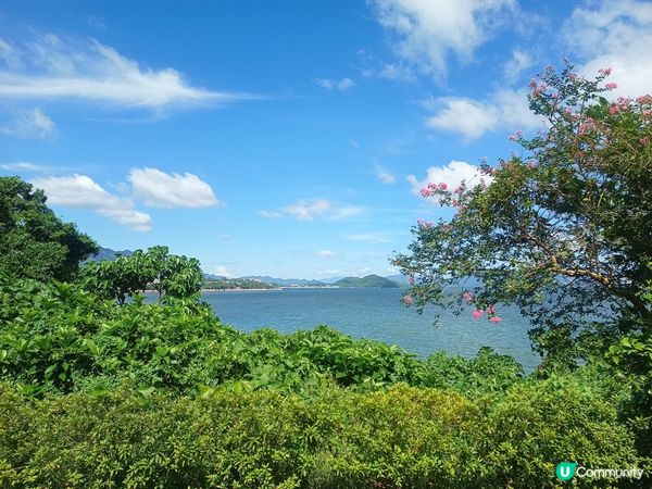 香港祕境 ~ 英式建築及花園🏡