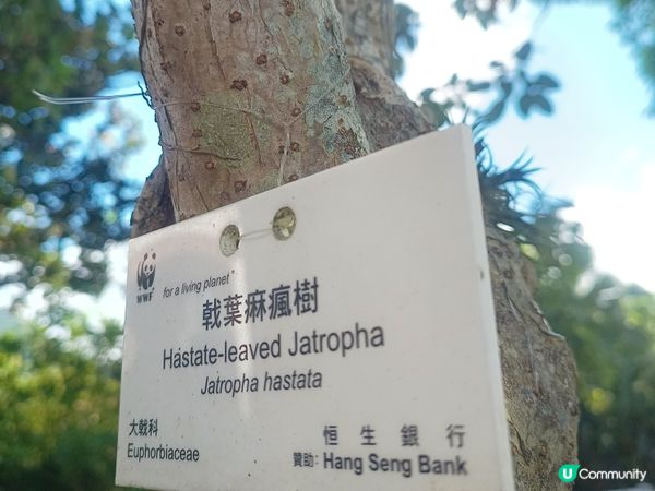 香港祕境 ~ 英式建築及花園🏡