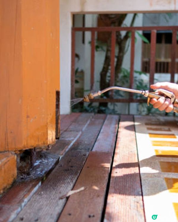 【預防白蟻】如何有效預防白蟻？教你8個有效預防白蟻措施～