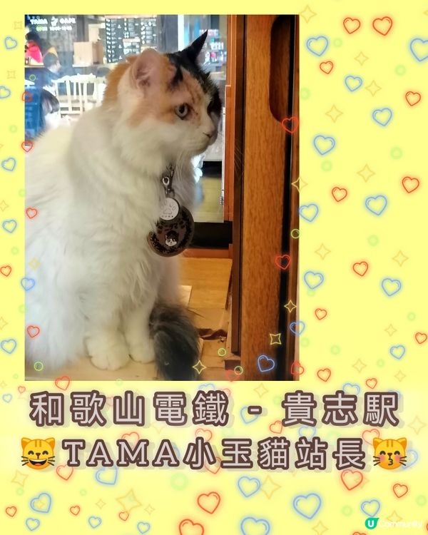 和歌山電鐵。貴志駅(3)-小玉貓站長出場啦 😸😄💖💕