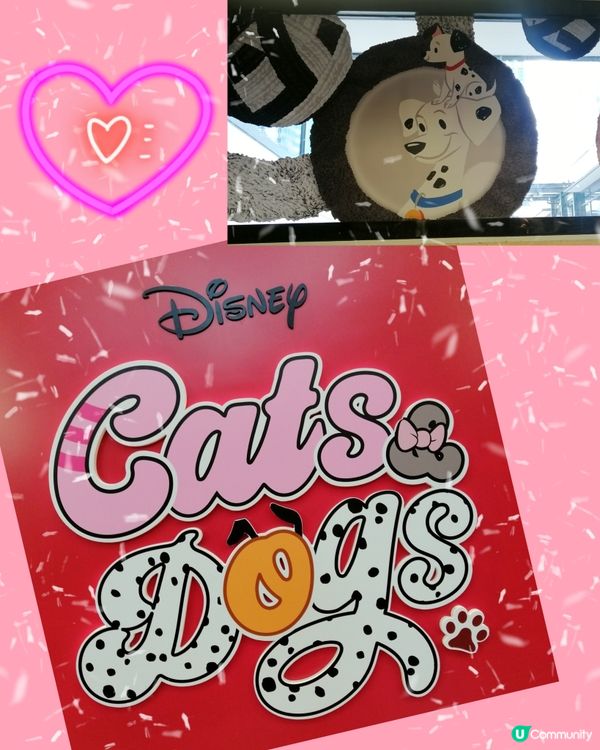 經典迪士尼貓狗🐈🐕角色聖誕打卡位@中環街市😊❤️💜