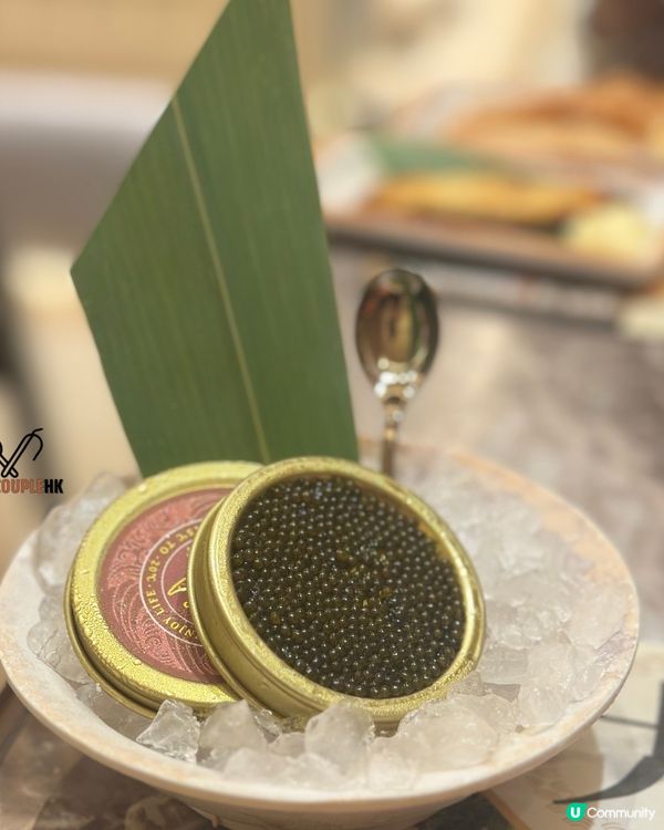 殿 大喜屋放題！龍蝦鮑魚榴槤 任你食🤤！