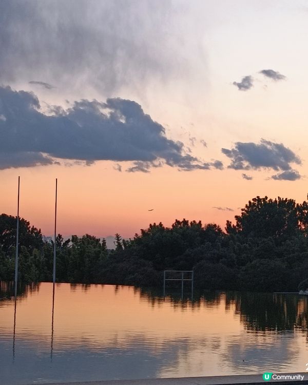 非一般 葛西臨海水族館 