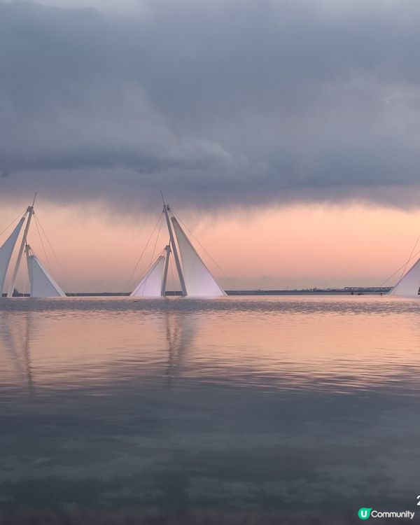 非一般 葛西臨海水族館 