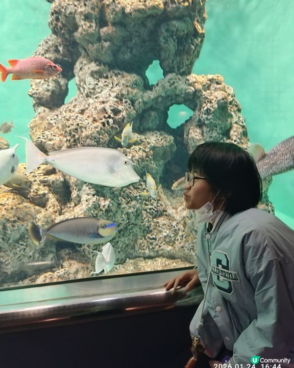 非一般 葛西臨海水族館 