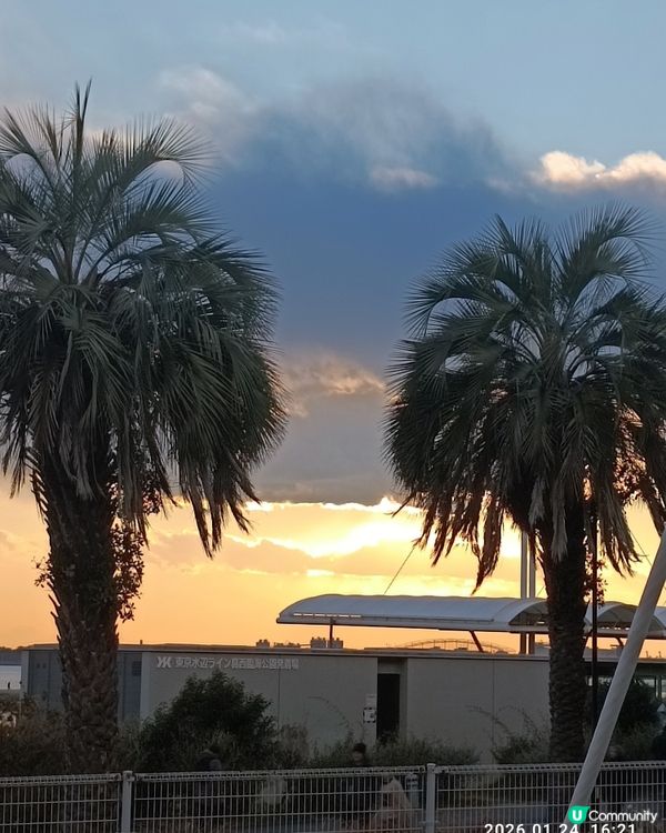 非一般 葛西臨海水族館 