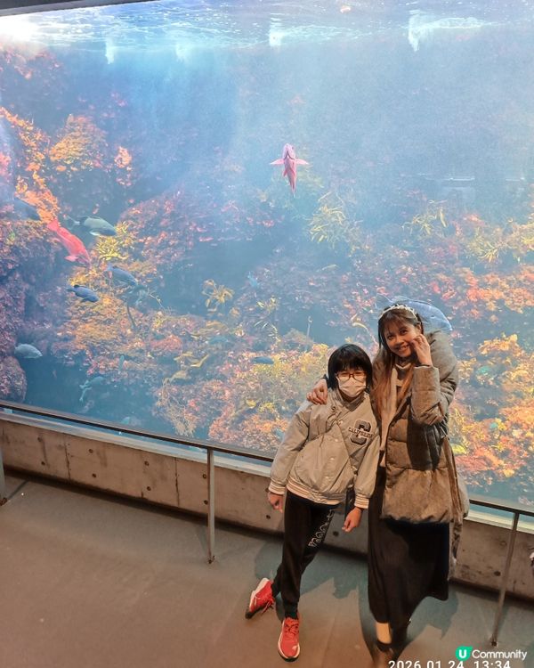 非一般 葛西臨海水族館 