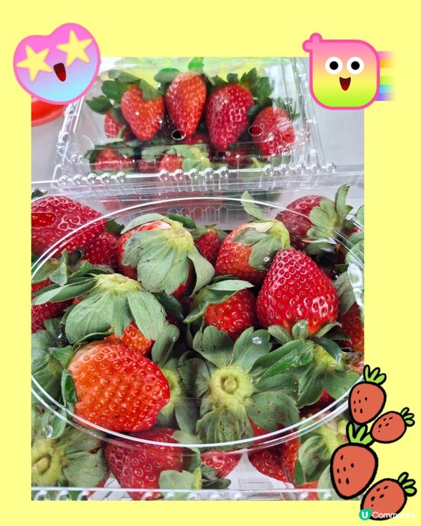 任摘任食士多啤梨🍓🍓體驗😊😄