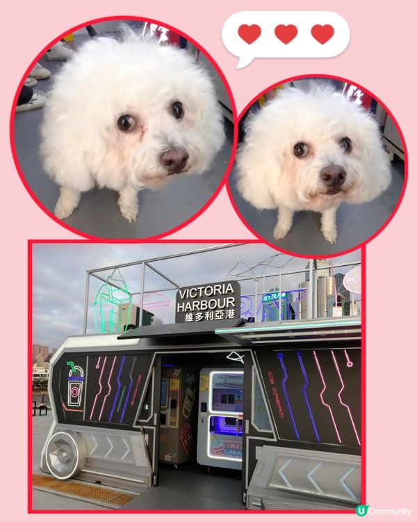 灣仔海濱長廊見到富士山(?)☁️🤩🥳📸