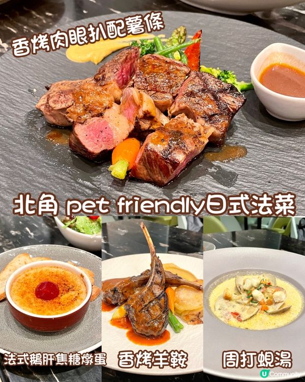 Briketenia 北角pet friendly日式法菜 ...