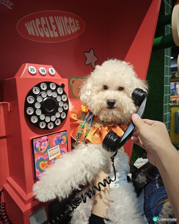 每一個打卡位置實在太靚(｡♥‿♥｡)要留低靚靚回憶