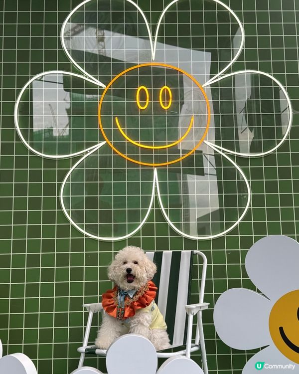 每一個打卡位置實在太靚(｡♥‿♥｡)要留低靚靚回憶