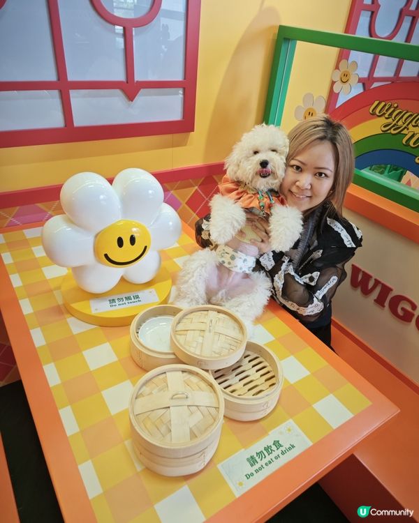 每一個打卡位置實在太靚(｡♥‿♥｡)要留低靚靚回憶