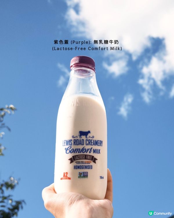 紐西蘭必飲牛奶！！