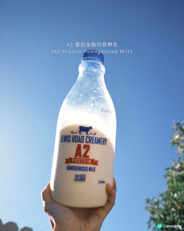 紐西蘭必飲牛奶！！