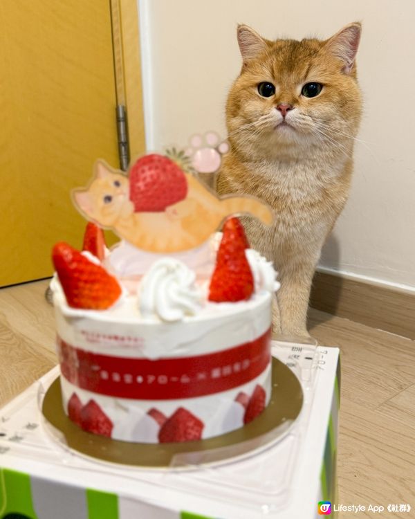 草莓蛋糕🎂