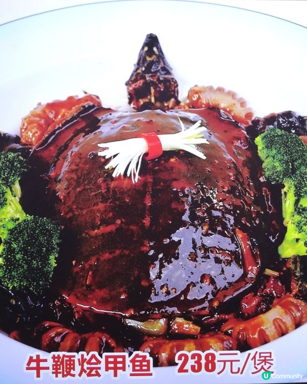 水魚呀。。好大隻水魚