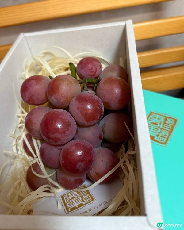 生果 = 甜品 🤤🤤