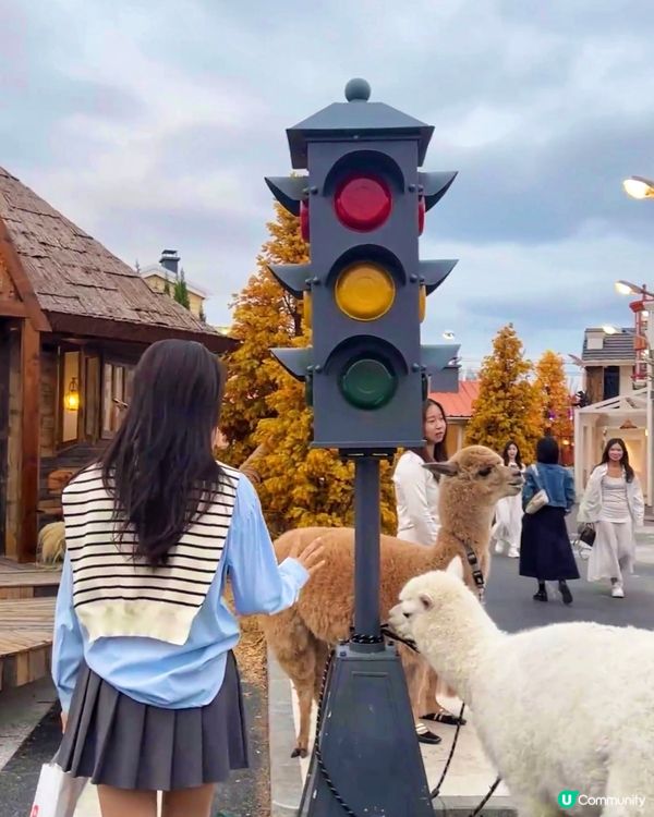 歡迎乘坐Hello Kitty雪國夢幻列車❄️💖