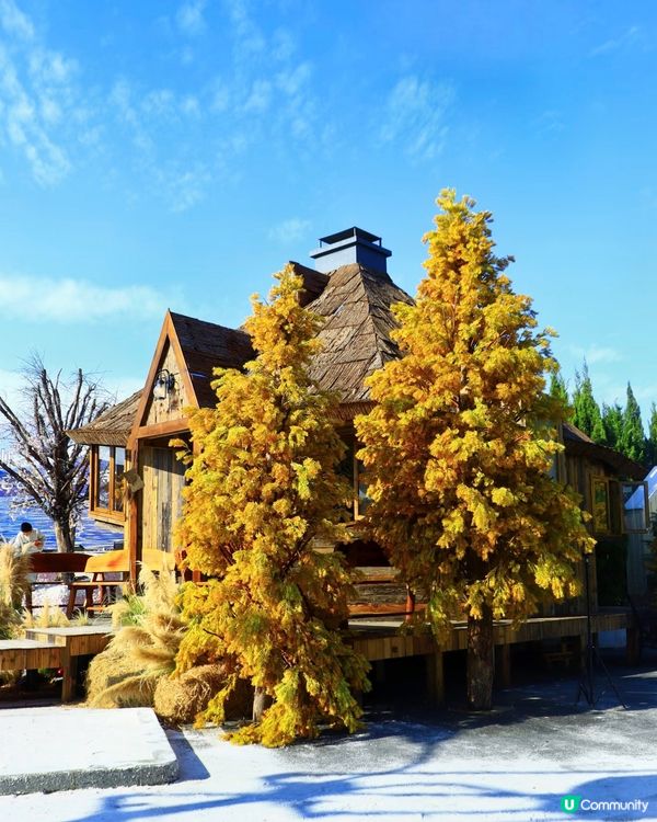 歡迎乘坐Hello Kitty雪國夢幻列車❄️💖