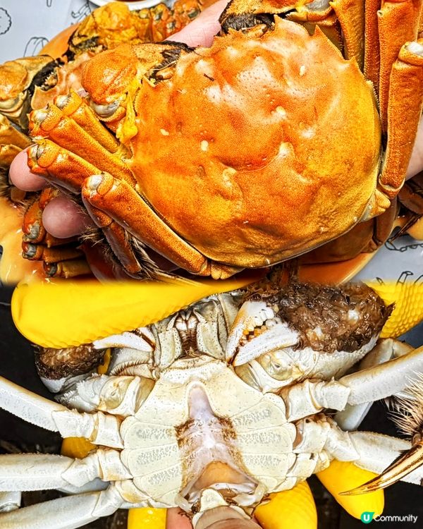 深圳平食爆膏大閘蟹🦀