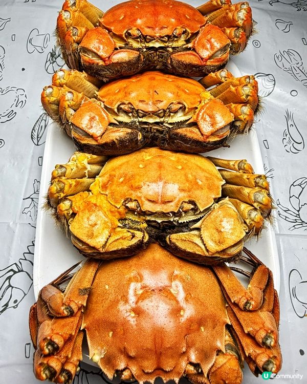 深圳平食爆膏大閘蟹🦀