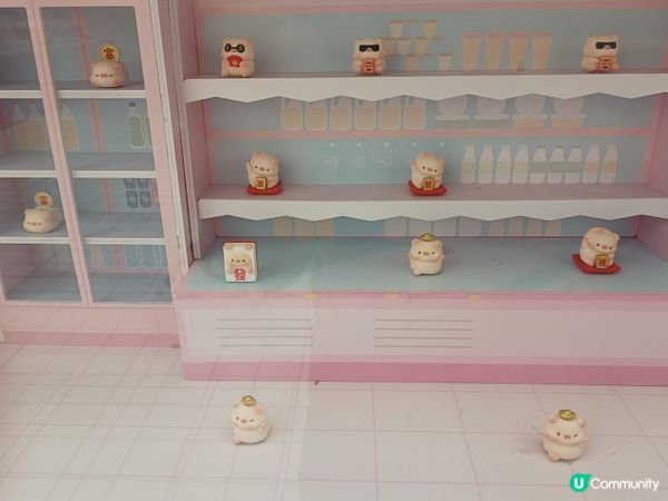 又係可愛嘅lulu豬🐖