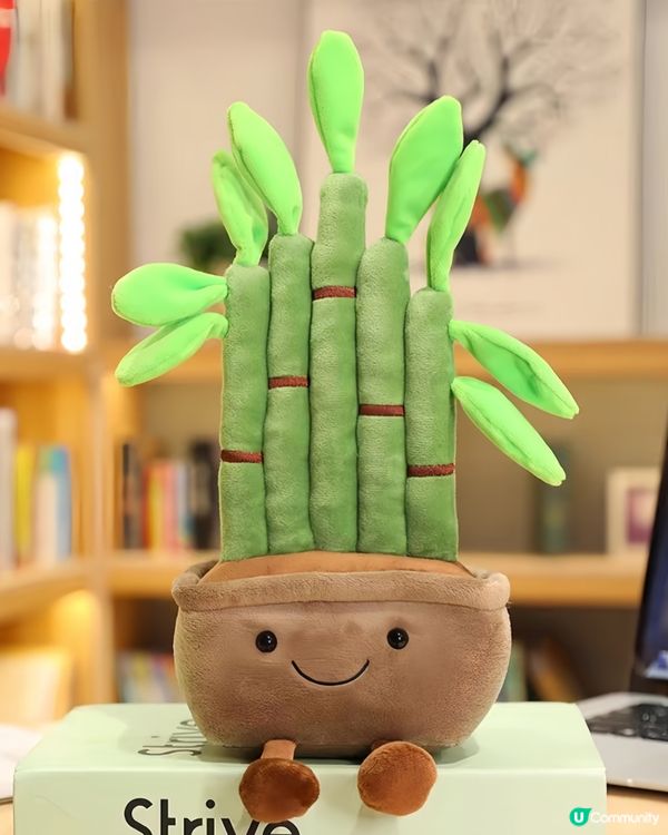 【新年好物🧧】富貴竹🎍同金元寶🪙？入唔入手好🤔？