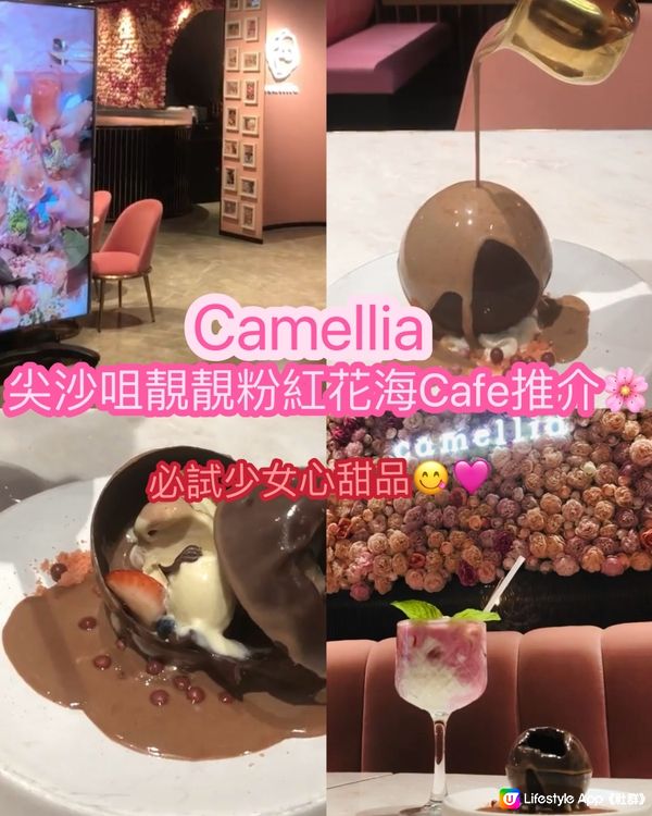 尖沙咀靚靚粉紅花海Cafe推介🌸-Camellia