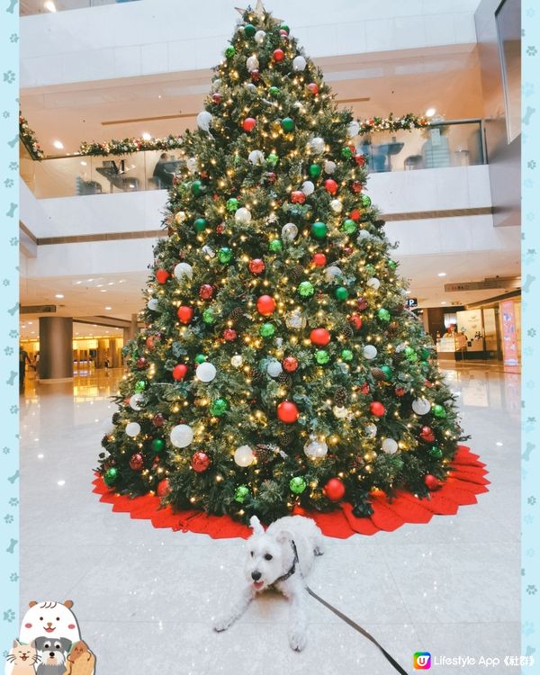 IFC 大型聖誕樹