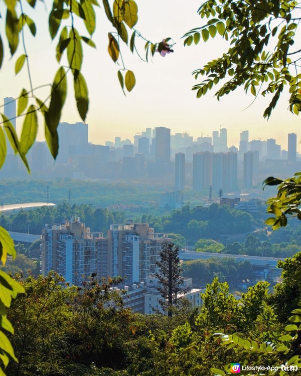 來深過大年，圳的很好玩——山海通廊新春旅遊路線推廣