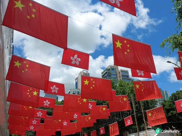 栢麗大道打卡📸  國旗區旗旗海飄揚