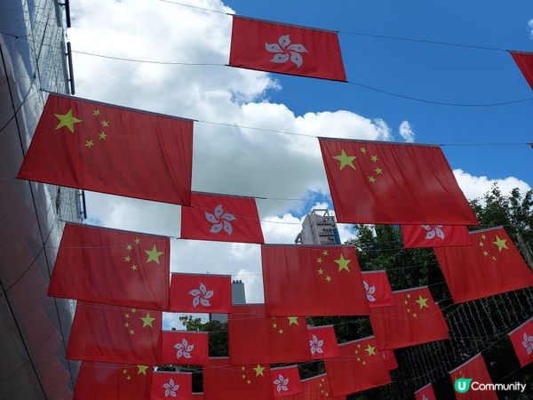 栢麗大道打卡📸  國旗區旗旗海飄揚