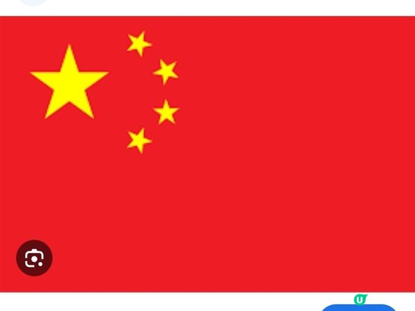 栢麗大道打卡📸  國旗區旗旗海飄揚