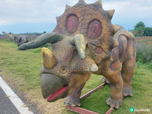 估唔到有恐龍睇😂