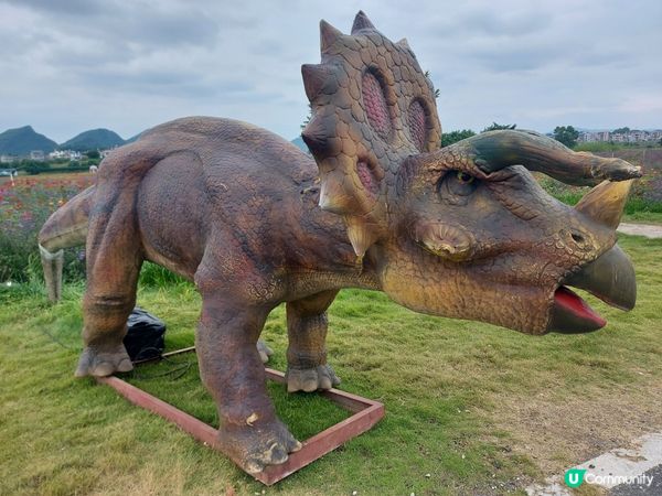 估唔到有恐龍睇😂