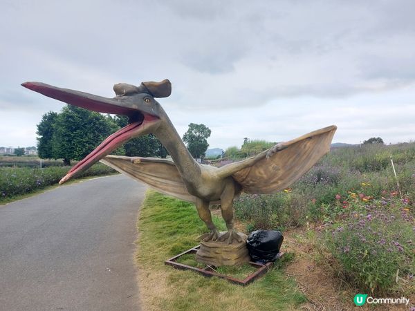 估唔到有恐龍睇😂