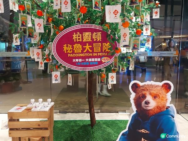 靈靈頓熊秘魯大冒險