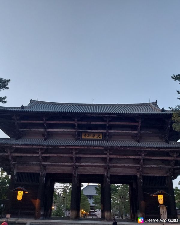 漫遊奈良公園