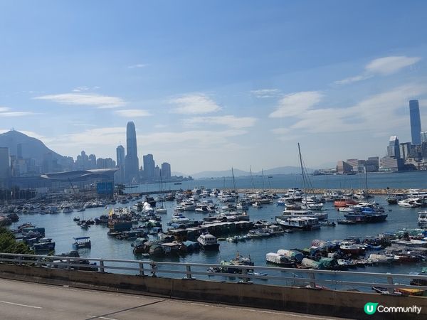 美麗海港照