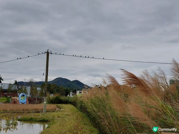 塱原生態自然公園