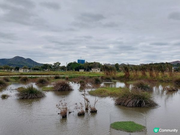 塱原生態自然公園