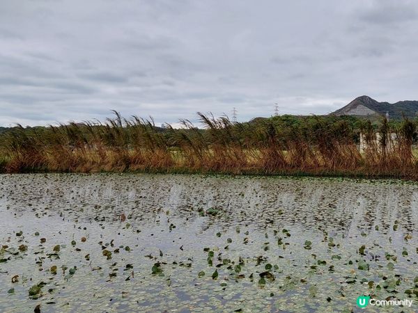 塱原生態自然公園