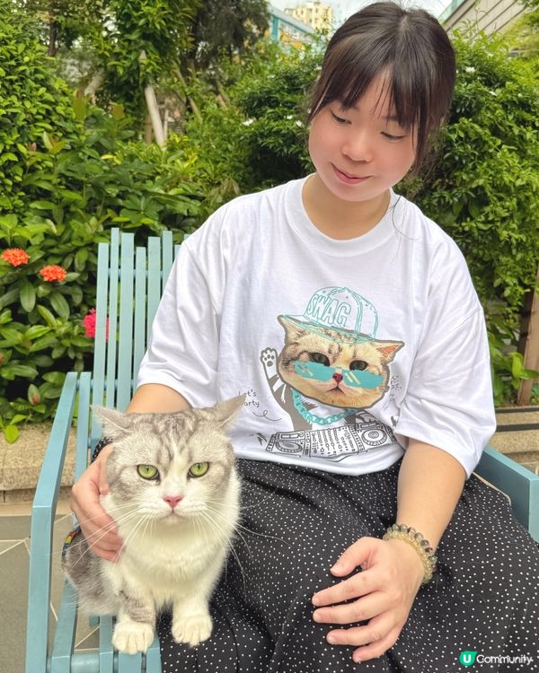 大頭寵物畫風📸🐱💖